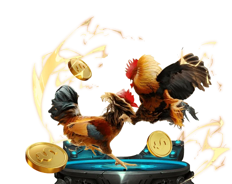 Cá cược thể thao Zbetme